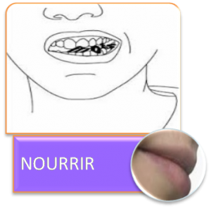 nourrir